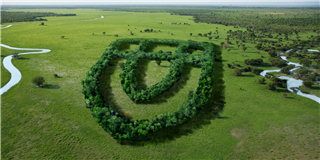 健康是“檢驗”出來的！2022年度世友地板市場抽檢報告公布